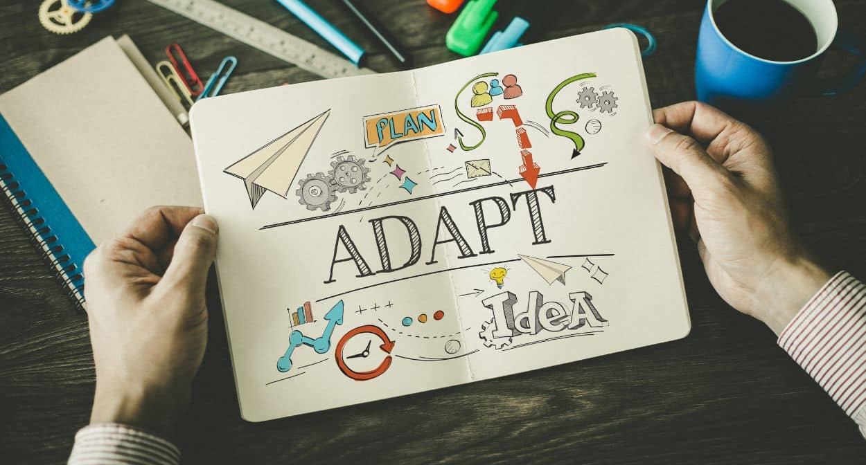 Adaptability and Flexibility - Web Video Ad Space Adaptability and Flexibility